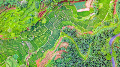 New Tool Keeps Sky-High Eye on Sustainable Agriculture’s geoFootprint