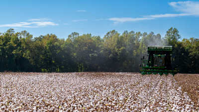 Farm-Level Data, Regenerative Practices Shaping the Future of US Cotton