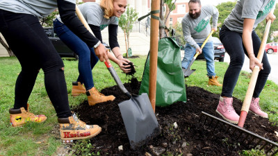 Enhance Detroit’s Green Space, and Your Wellbeing, at the Same Time